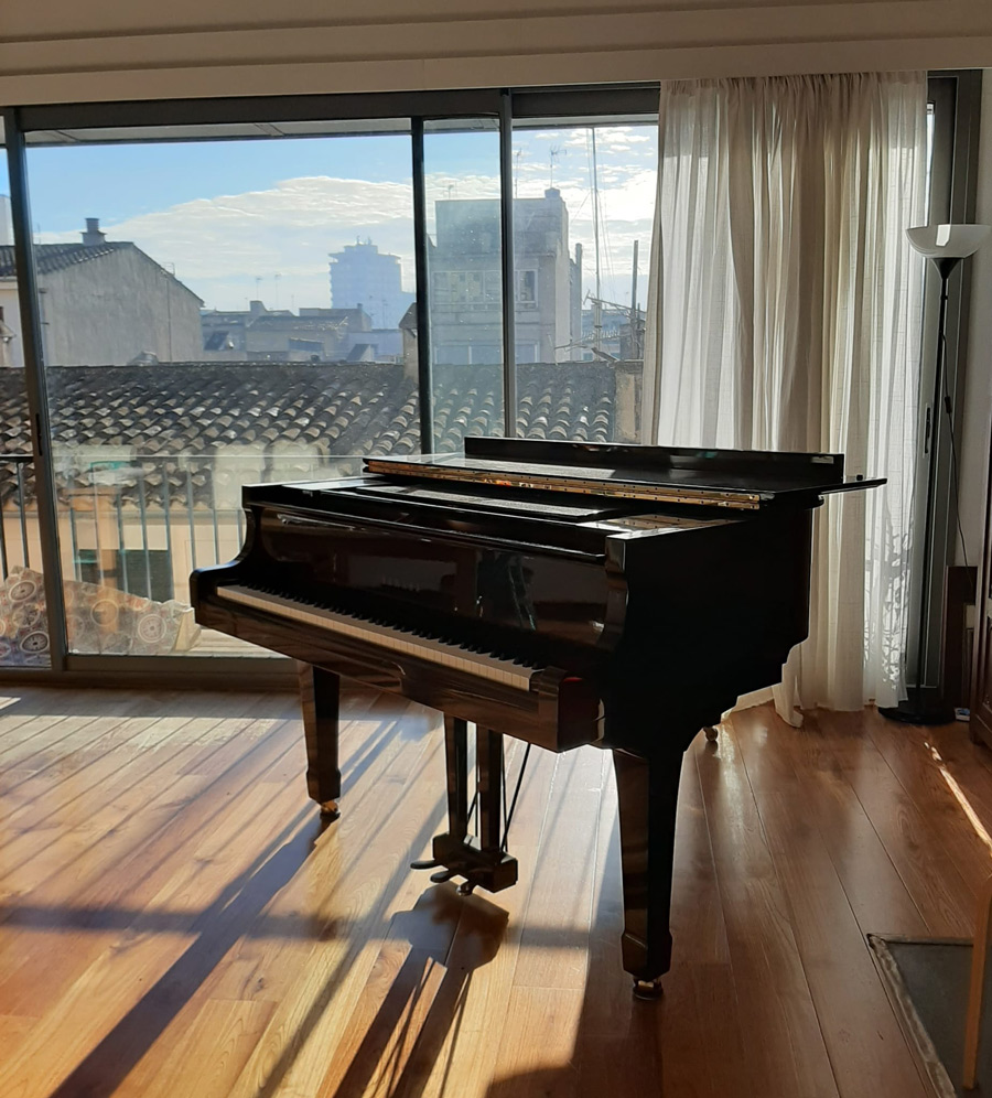 piano musiquarium